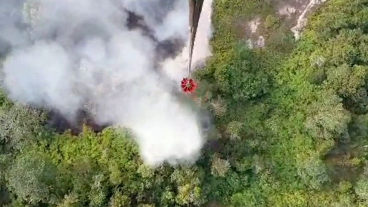 干旱时容易发生森林和陆地火灾,南巴里托的Pj Gulirkan Wacana Damkar