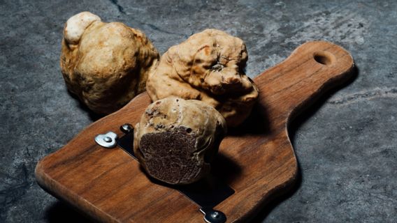celiers : liste des champignons les plus chers au monde
