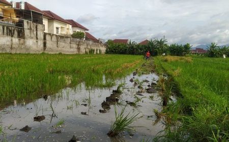 Kekurangan Rumah, Pemkot Mataram Ingin Lahan Pertanian Dialihfungsi Guna Perumahan