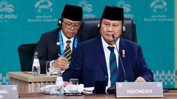 After The G20 Summit In Brazil, Prabowo Will Visit England To Aim For Investment