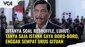 VIDEO: About Reshuffle, Luhut: Just Ask My Palace Boro-Boro, No Time To Take Care Of It