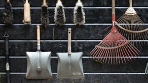 7 Peralatan Berkebun yang Perlu Ada di Rumah