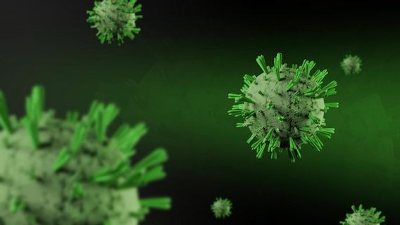 WHO Emphasizes Hantavirus is Not Easily Transmitted like COVID-19