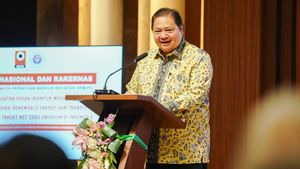 Menko Airlangga Beberkan KEK Gresik Bakal Produksi 60 Ton Emas per Tahun