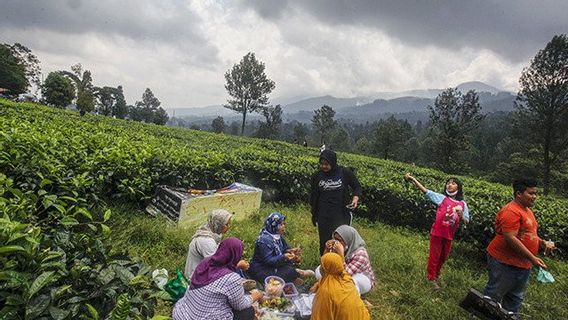 Réparer Le Pic, C’est Sauver Jabodetabek, Le Ministère De L’ATR / BPN Veut Une Collaboration