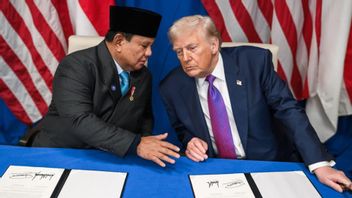 Joining the Board of Peace, Indonesia is judged not to be trapped in Trump's political game