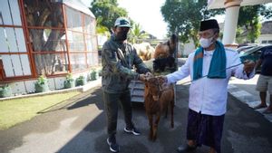 DKPP Kota Madiun: Daging Hewan Kurban Terkena PMK Bisa Dikonsumsi Asalkan Dimasak yang Benar