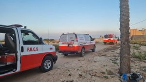 世界卫生组织称,在拉法过境点关闭期间,约有2,000名患者未能从加沙撤离