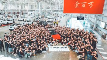 مصنع تسلا للسيارات الكهربائية في شنغهاي يبني ثلاثة ملايين سيارة في ثلاث سنوات