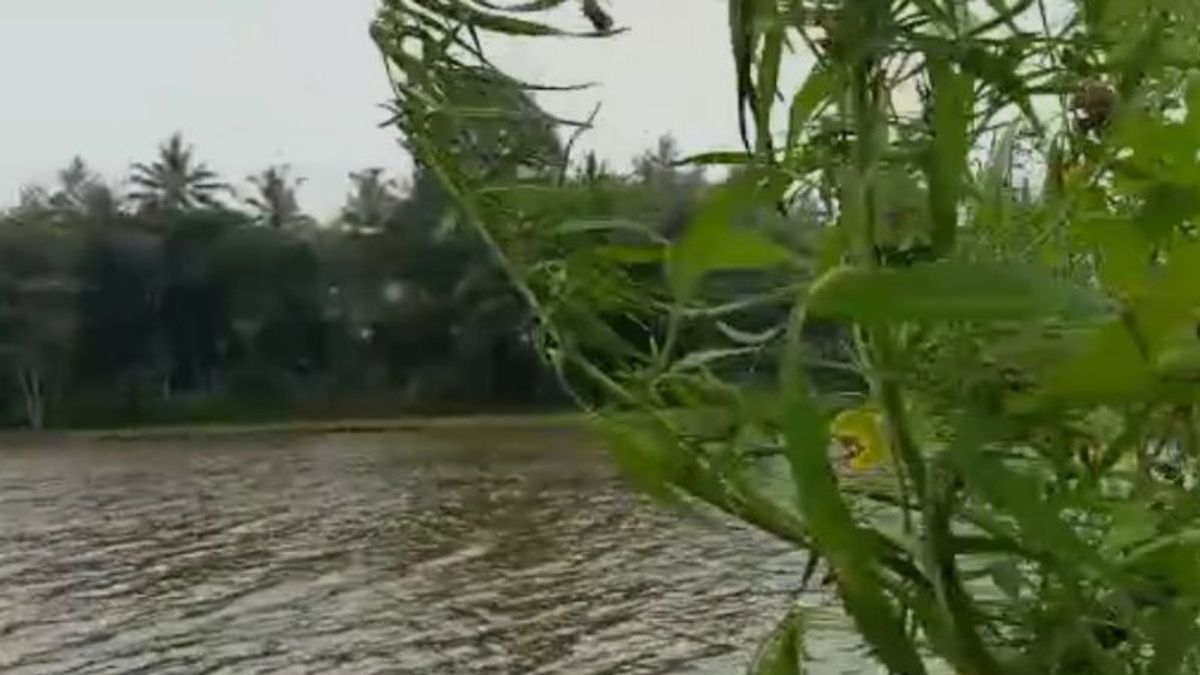 ディスパルブドガルットテピスガンジャ畑が警察によって発見された その場で チャングアン観光地