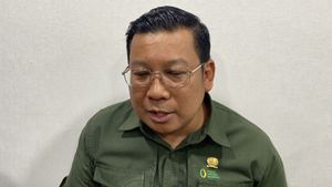 52.400 Ton Jagung SPHP Disiapkan Pemerintah untuk Peternak, Harga Rp5.500 per Kg