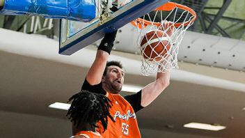 Pertahankan Tren Kemenangan, Pelita Jaya Tekuk Satya Wacana 85-45