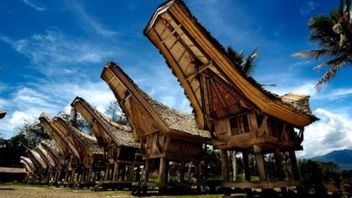 Minuman Khas Sulawesi yang Bisa Jadi Oleh-oleh Wisatawan