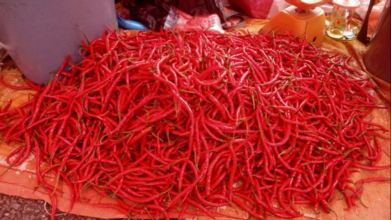 Harga Cabai Rawit Merah di Pasar Jatinegara dan Kramat Jati Tembus Rp130.000 per Kg