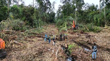 Polda Riau Tangkap Gordon, Pemilik Lahan Ilegal di Kawasan Hutan Konservasi Bengkalis