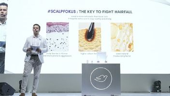  Masih Salah Fokus Benahi Rambut Rontok? Kenali Teknologi Skincare untuk Merawat Kulit Kepala