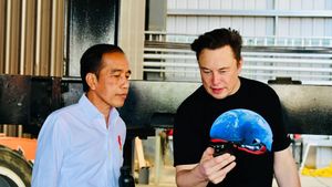 Soal Rencana Investasi, Tesla Dikabarkan Sudah Kirim Tim ke Indonesia dan Kagum dengan Tambang Nikel Milik Vale Indonesia di Morowali