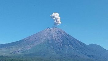 Status Waspada: Gunung Semeru Erupsi Dua Kali, Aktivitas Kegempaan Tercatat 37 Kali