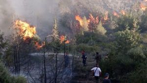 350 hectares de terres dans le parc national de Way Kambas incendiés