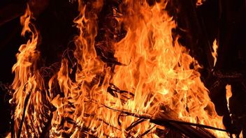 警方调查房屋火灾烧伤一个家庭