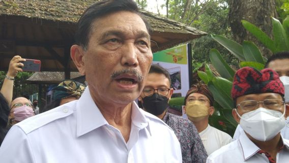 Insan Pariwisata Bali Tolak PPKM Level 3 saat Nataru, Begini Respon Menko Luhut Pandjaitan