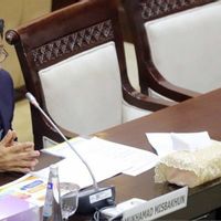 DPR RI Dukung 13 Proyek Hilirisasi Danantara, Dorong Ekonomi dan Lapangan Kerja
