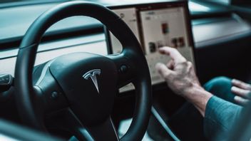 Elon Musk Says Robotaxis 2024 Don;t Have A Steering Wheel