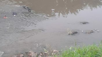 Bodies Of 7 Men Died In Bekasi River Still Dressed In Clean Clothes And Wearing Shoes