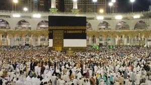 サウジアラビアは、1447年のハッジシーズンの成功を主張し、病気の流行なしに