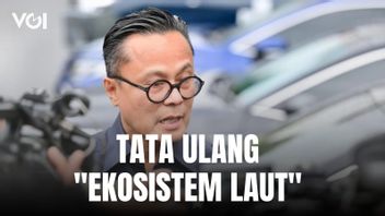 Dony Oskaria称政府正在重新定义“海洋生态系统”，为航运业做好准备