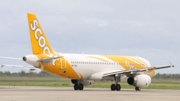 YIA Airport Flights To Singapore With Scoot Airlines