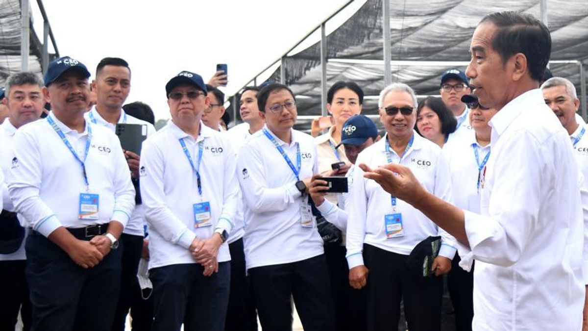 Invite Company Bosses To Review The Maize Of The Minister Of Trade And East Kalimantan, Jokowi Talks About The Archipelago Forest City