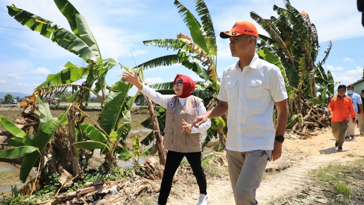 Antisipasi Banjir di Grobogan, Ganjar Pranowo Inginkan Hal Ini