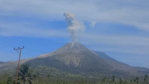 Gunung Lewotobi Laki-laki Erupsi, Muntahkan Abu Capai 1.000 Meter
