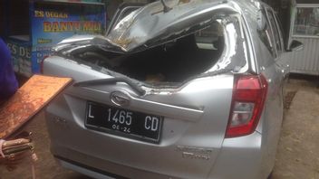 10 Meters Long Mahogany Tree Trunk Collapses On Top Of 2 Cars And Motorbikes In Malang, 2 People Are Injured