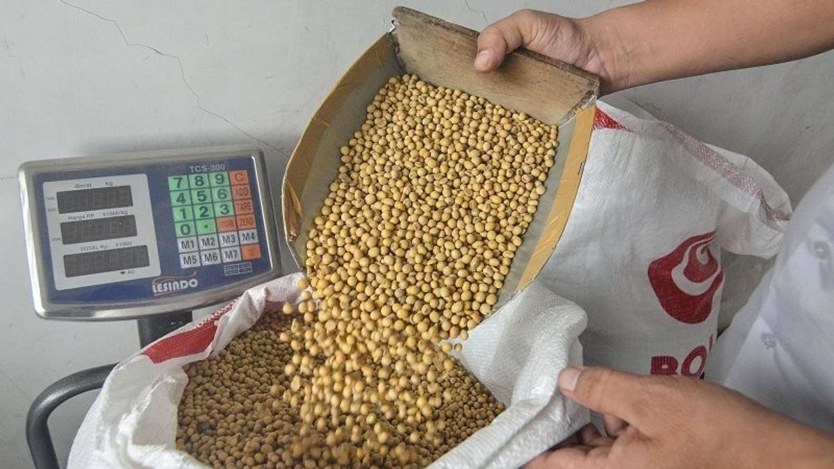 Bulogは、インドネシアに決して入らない南アフリカからの輸入大豆の原因を明らかにします