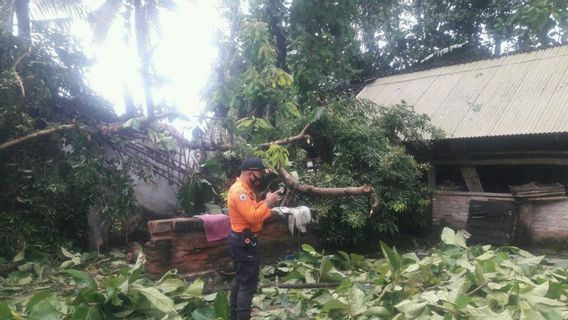 Belasan Rumah di Jember Rusak Akibat Puting Beliung