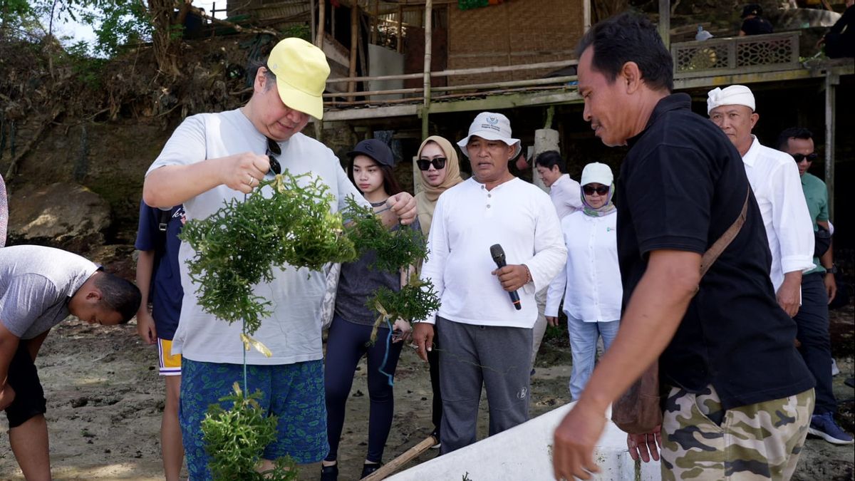 协调部长Airlangga 支持巴厘岛沿海经济赋权