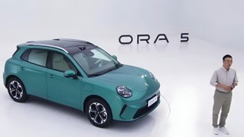 WM Ora 5 officialise ses débuts, VUS électrique compact Défier BYD Atto 3