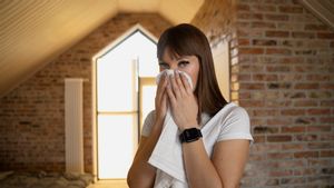 7 Trik Mengatasi Area Rumah yang Lembap agar Lebih Sehat