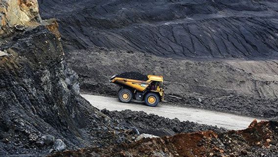 Tawarkan Pengelolaan Tambang Batu Bara Kohong Kelakon, Kementerian ESDM Tunggu Keputusan Pempov Kalteng dan PTBA Sebelum 26 Juli