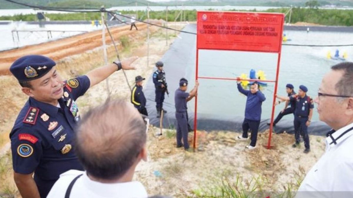 Dua Unit Usaha Tambak Udang di Batam Disegel KKP