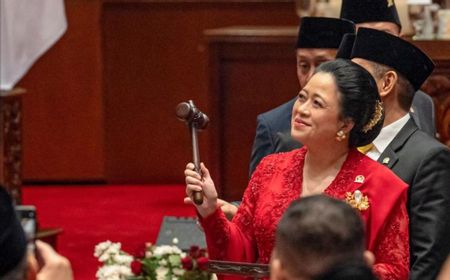 Berkiprah Sejak Umur 36 Tahun di Parlemen, Puan Maharani Kini Ketua DPR RI Dua Kali, Anak Ikut Jadi Anggota Dewan