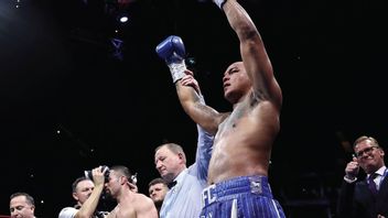 Whyte Hopes Wardley Gets A Chance Against Usyk