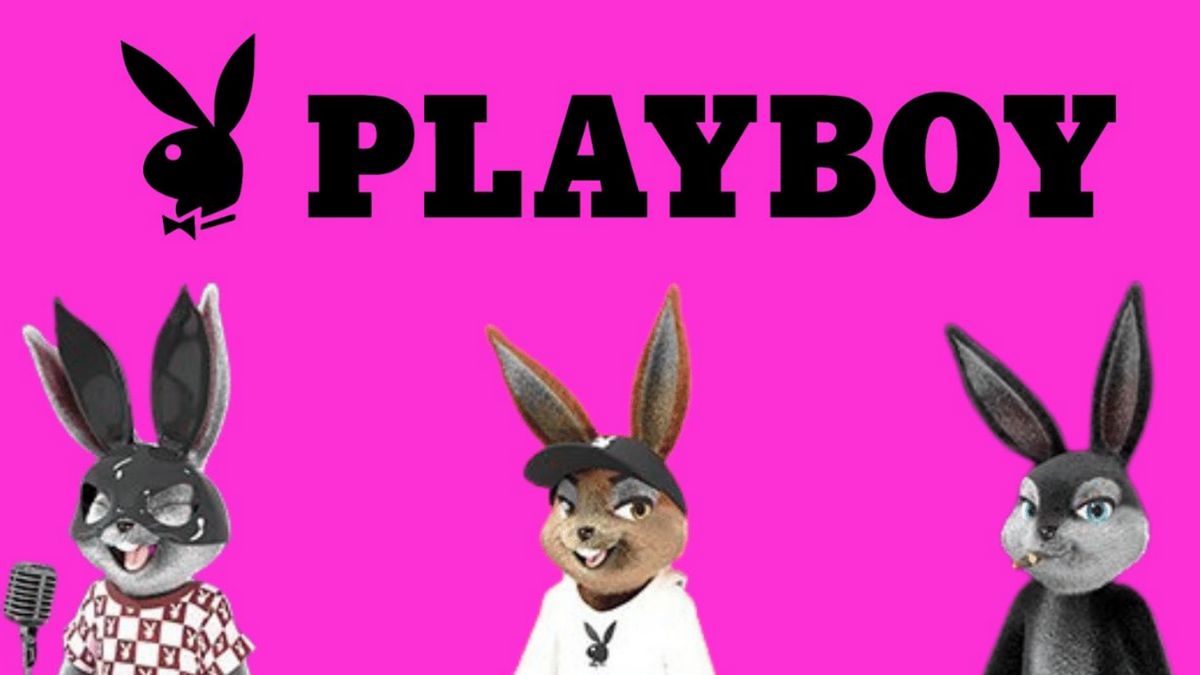 NFT Playboy Merugi Rp75,3 Miliar Akibat Harga Ethereum Turun 