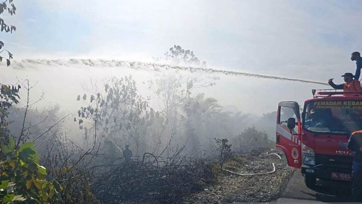 Un jardin d’aramide dispersé dans 8 districts d’Aceh Ouest, brûlé à cause de conditions météorologiques chaudes