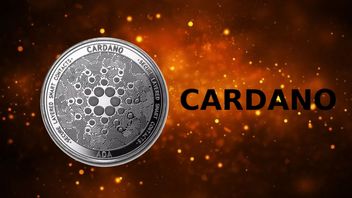 More Than 200 Smart Contracts Already Entered The Cardano Blockchain Network