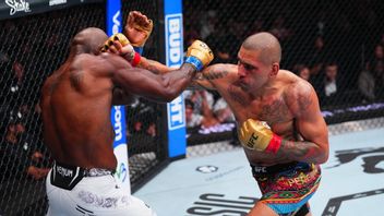 At TKO Khalil Rountree Jr., Alex Pereira Defends UFC Light Heavyweight Title