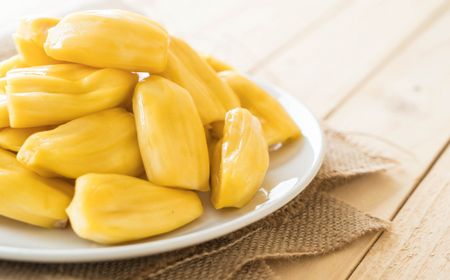 Selain Menurunkan Kadar Kolesterol Jahat, Ini Manfaat dari Biji Nangka Rebus