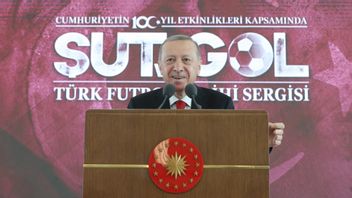 الرئيس أردوغان يدعي أنه يمكن التفاوض مع إيلون ماسك للحصول على علامات تويتر الزرقاء المجانية